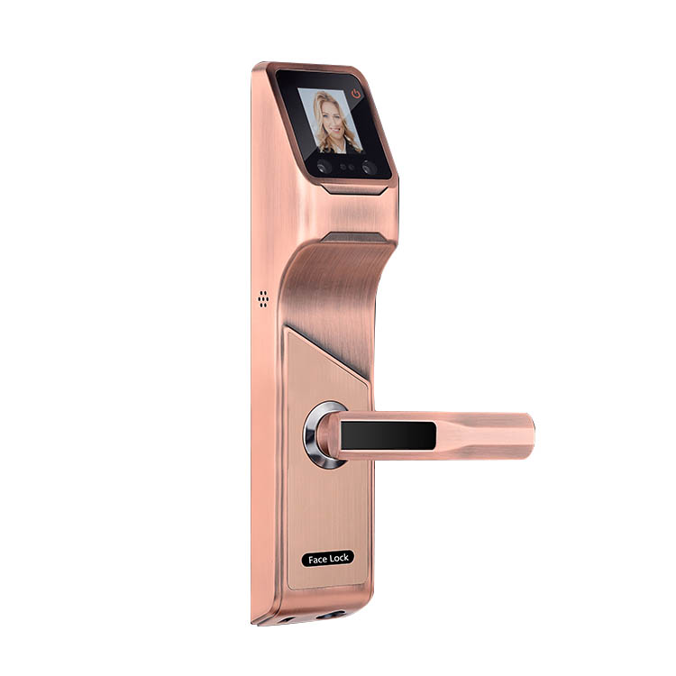 Face recognition lock hr-605
